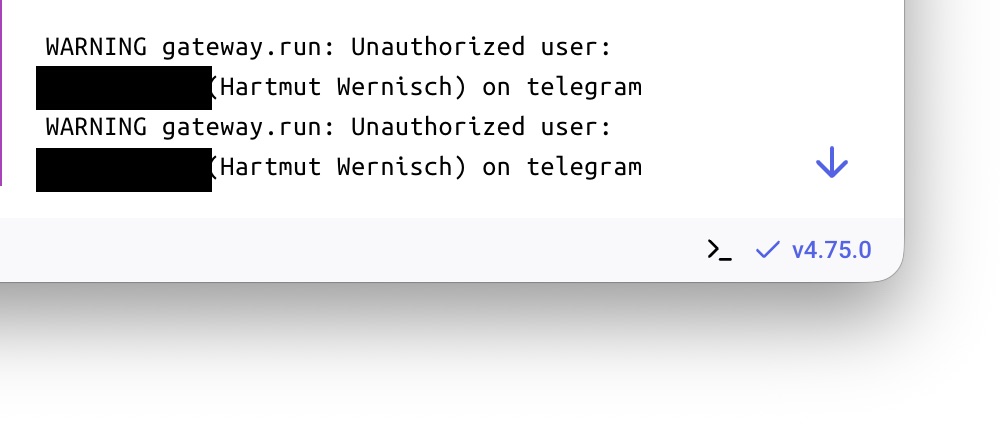 Docker-Logs mit der Zeile "Unauthorized user", die ID ist hier geschwärzt. Genau diese ID gehört in die Allowlist.