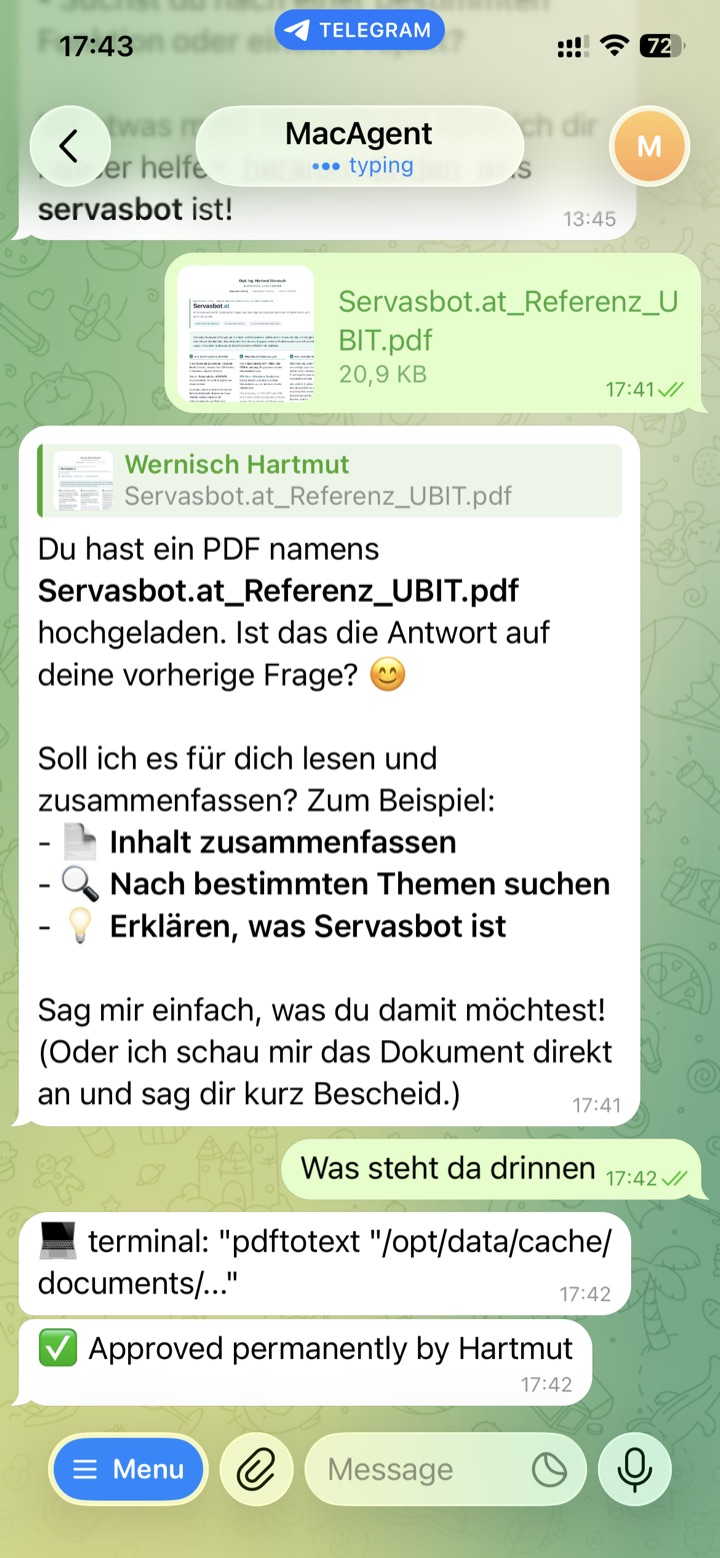 Telegram-Chat am Handy: ein PDF wird an den Bot geschickt, der Agent bietet an, es zu lesen und zusammenzufassen